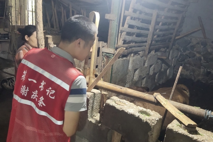 接力奋进新征程 医者初心践于行——杏吧视频
口腔颌面外科党支部谢庆条赴马山县龙琴村担任驻村第一书记 第 1 张